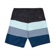 Шорты Mystic Electric Boardshorts Flow Green