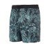 Шорти Mystic Coast Boardshort Green Allover Шорти Mystic Coast Boardshort Green Allover