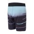 Шорти Mystic Ridge Boardshort Mint Шорти Mystic Ridge Boardshort Mint