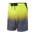 Шорты Mystic Legend Boardshort Flash Yellow Шорты Mystic Legend Boardshort Flash Yellow