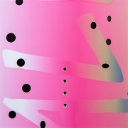 Вейкборд Slingshot Salmon 2021 Распродажа!